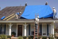 What you need to know about Poly Tarps